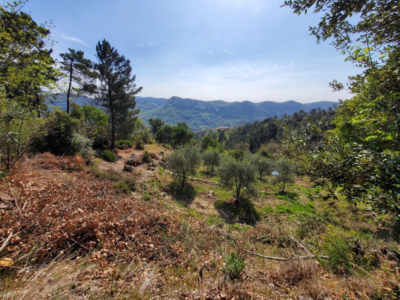 piste de vtt avec vur sur la mer
